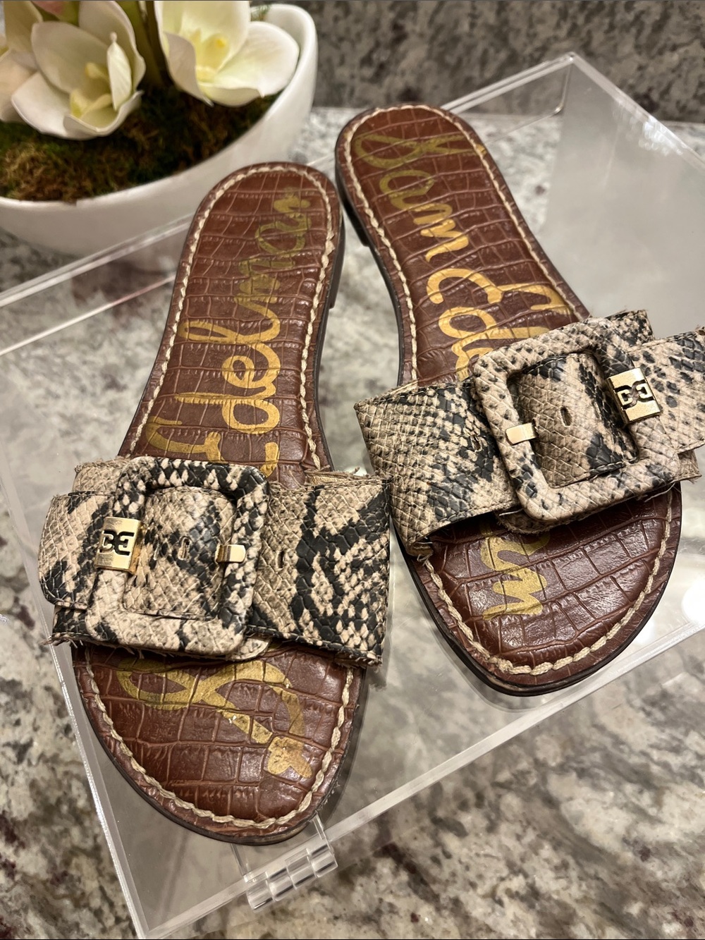 Sam Edelman Neutral Snake-Print Buckle Slide Sandals